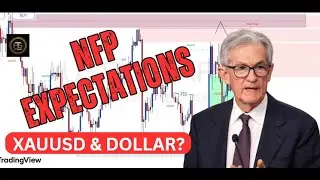 NFP Preview & Market Recap | Fed Rate Cut Expectations & Forex Outlook