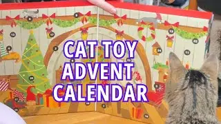 Costco Catvent Cat Toy Calendar for Christmas 2025