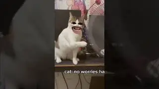 Captain America | cat ws captain America | mouth wala video