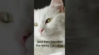 Soul Pets Decoded -  White Cats & Ancestral Purification