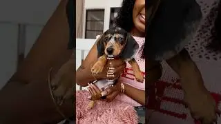 💌 &mdash; #puppytherapy + #puppyyoga