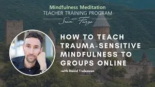 How to Teach Trauma-Sensitive Mindfulness to Groups Online &ndash; With David Treleaven