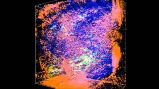 An Integrative Platform for Three-dimensional Quantitative Analysis of Spatially Heterogeneous
