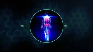 &iquest;Qu&eacute; Factor de Transferencia es el adecuado para m&iacute;?