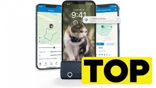 🏆 TOP 3 MEILLEUR GPS POUR CHAT 2025 🐱