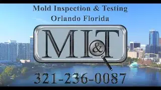 Mold Inspection & Testing Orlando