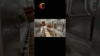 Eruis Custom Poultry Slaughter Line &ndash; Precision, Durability, and Ease