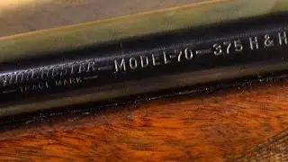 Winchester 70 - Pre-64