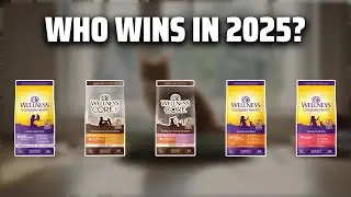 The Top 5 Best Wellness Dry Cat Food in 2025 - Must Watch Before Buying!