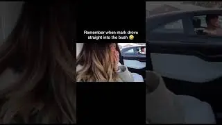 Mark and Zoe funny moments - drove into the bush 😂