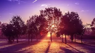 Manu Zain - Beautiful Day [Silk Music]