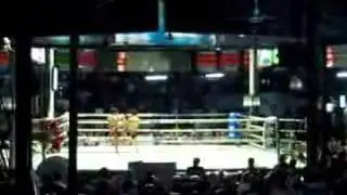 Tiger... Tiger... Tiger... Tiger uppercut!