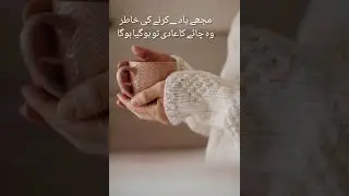 Chai Poetry|Chai Shayari|Chai status #chai #chailover #urdupoetry #love #shorts #ytshort