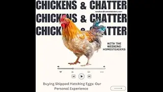 Shipped Hatching Eggs