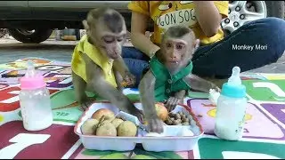 Baby Mori And Dodo Enjoy Their Breakfast, Dodo And Mori Very Happy