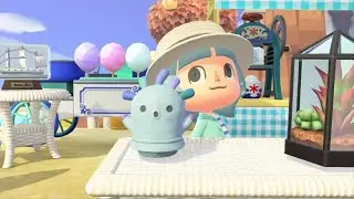 Switch2になって初めてのあつ森!【あつまれどうぶつの森】