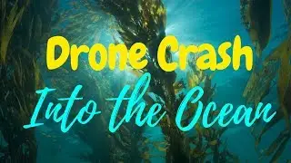 I crashed my drone into the Pacific Ocean! (+ recovery mission!)