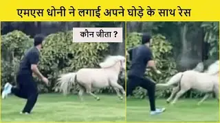 Dhoni Racing With His Horse Chetak | Dhoni Horse Race Video