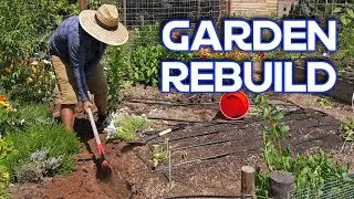 Why I Destroyed And Rebuilt My First Garden