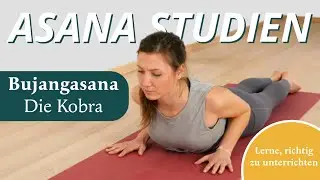 Yoga Asana-Studien 