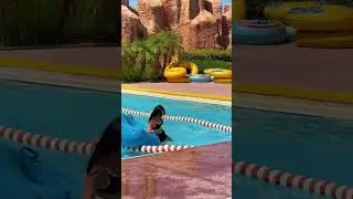 🔥Exciting Fast Water Slide incredible Water Park - Water Fun Time🐬 #waterslide #waterpark