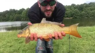 Carp fishing with particle bait and feed corn; day 3