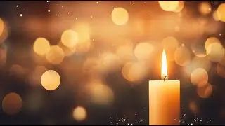 David Troy Harms - Celebration of Life