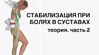  &laquo;Стабилизация при болях в колене, ТБС, пояснице&raquo; . Теория
