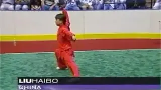 【Ушу】3-й чемпионат мира по ушу (1995), Мужской чанцюань   310  Лю Хайбо (Китай)