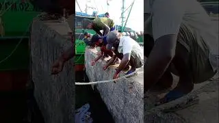 Group Of People Catching Big Fishes.  #fishing #fishingvideos #thoondilulagam #seafishing