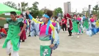 かみす舞っちゃげ祭り20190923夢想漣えさし　カニサンバ　1回目