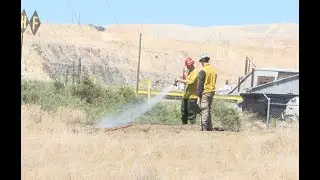 Small grass fire started in Butte by homeless person setting off fireworks