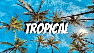 🐚 Tropical Instrumental No Copyright Free Happy Summer Background Music Tropics by Scandinavian