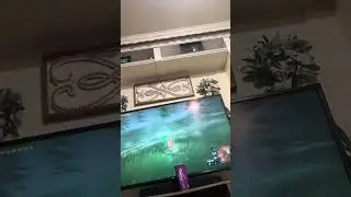 Me beating a white lynel (I forgot barbarian armor)