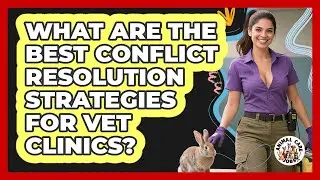 What Are The Best Conflict Resolution Strategies For Vet Clinics? - Animal Care Jobs