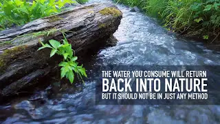 Ecological awareness