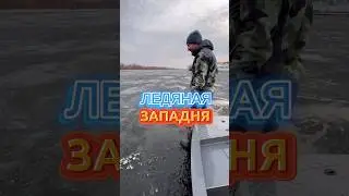 В ЗАПАДНЕ. КАК ВЫБРАТЬСЯ. 