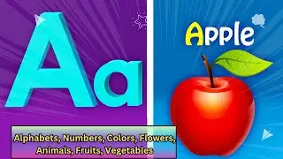 Preschool Complete Course |Learn ABCs, Colors, 123s, Numbers, Animals |How to Teach Alphabets Easily