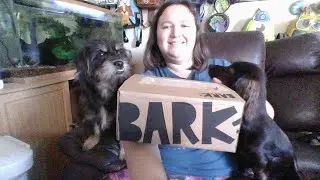 December Bark Box Dog subscription box opening with my dogs