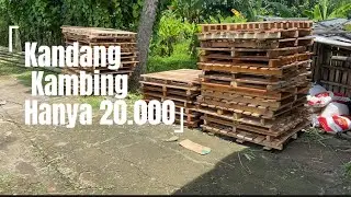 Proses Pembuatan Kandang Kambing Pengebokan #kambing #kandangkambing #goat