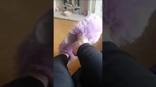 slipper tease fetish . purple slippers . slipper queen 07 . moms slippers