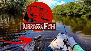 Fishing in Charleston, South Carolina for DINOSAURS! (Bowfin)