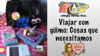 Viajar con g&uuml;imos ✈️🚄 | Cosas que necesitamos 🎒 | Cobayas Puerto Rico