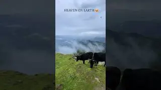 Uttarakhand Heaven of Earth 🌍#shorts #short #youtubeshort #youtube #youtubeshorts #uttarakhand ￼