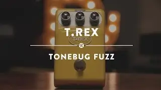 T-Rex ToneBug Fuzz | Reverb Demo Video