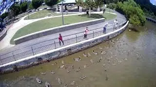 Feeding the ducks at the park