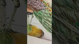 BIOMIMETIC CERAMICS - LISBOA PEACOCK #biomimicry #ceramics #lisboa #peacock