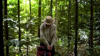 Hiking the Bambaroo Track, Paluma Range National Park