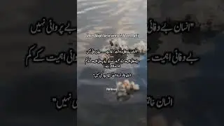 Man Matti Novel by Wajid Abrar #manmatti #wajidabrar #novel #shorts #dialogue