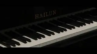 Our Award Winning Hailun HG178